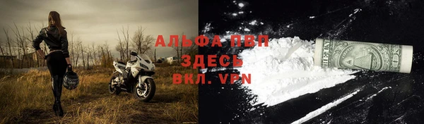 ешки Бердск
