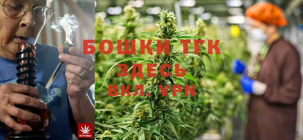 мдпв Мегион