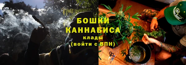 сатива Долгопрудный