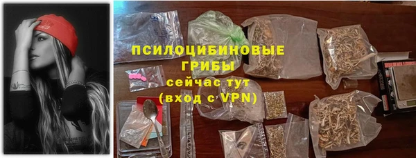 мдпв Мегион