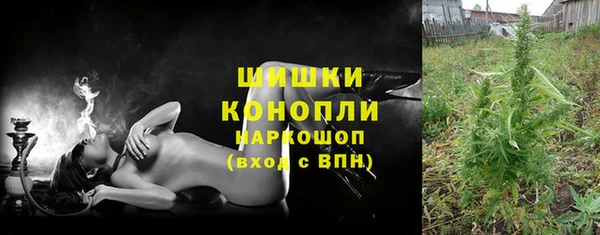 ешки Бердск