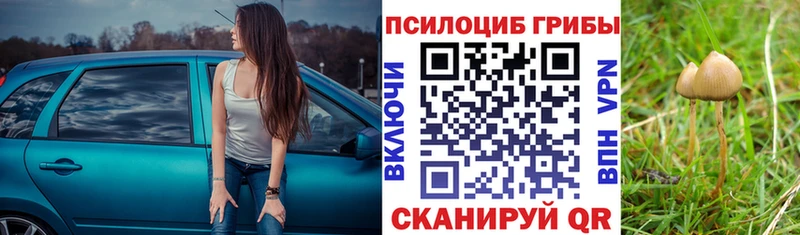 Псилоцибиновые грибы GOLDEN TEACHER  закладка  Белокуриха 