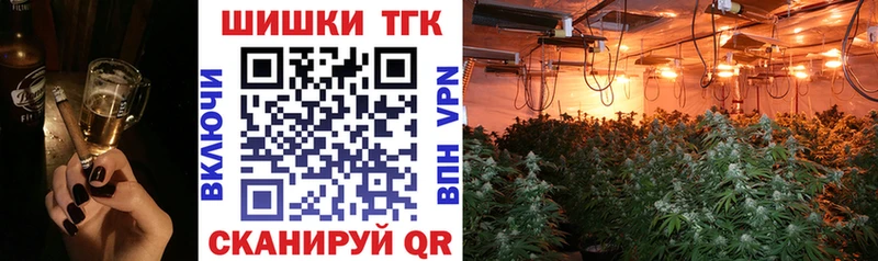 закладки  Белокуриха  Марихуана сатива 